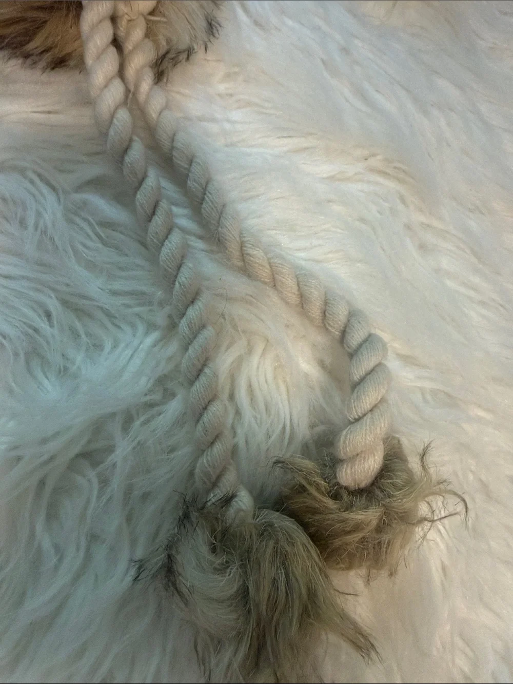 American Eagle Outfitters Brown and Cream Faux Fur Trapper Hat